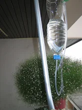 Photo: