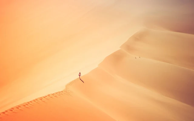 Free Alone in Desert wallpaper. Click on the image above to download for HD, Widescreen, Ultra HD desktop monitors, Android, Apple iPhone mobiles, tablets.