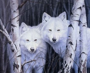 White Wolf