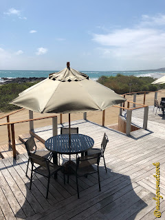 Iguana Crossing Patio