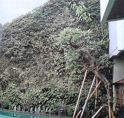 Tukang Taman Vertikal Surabaya | Vertical Garden 3