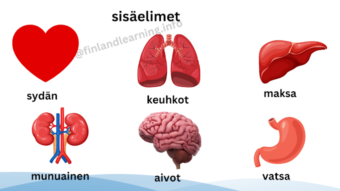 Kehon osat