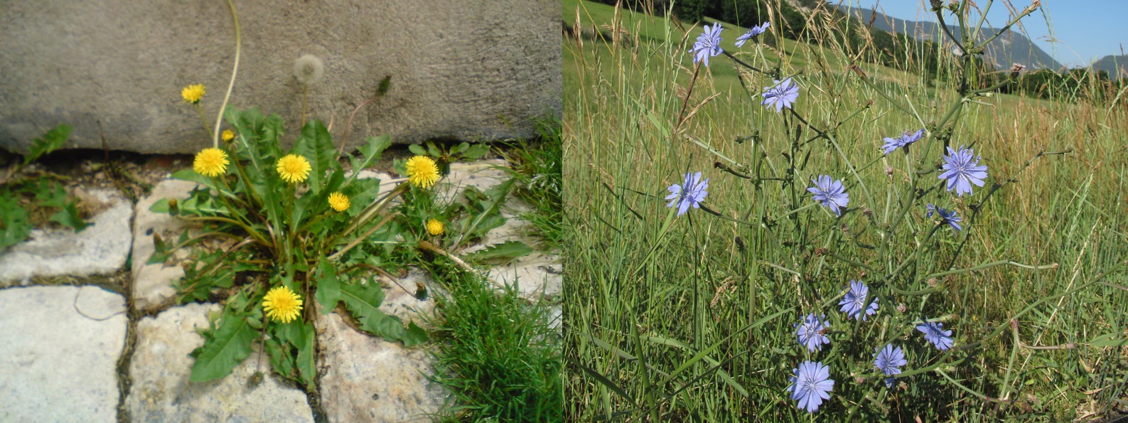 Petite chandelle lavande en béton - Rien ne se perd, tout se crée