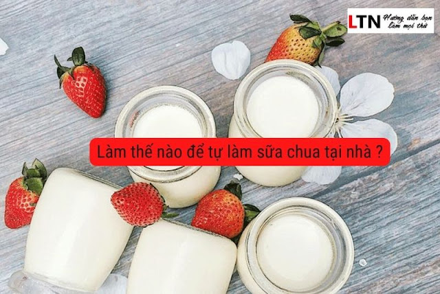 Làm thế nào để tự làm sữa chua tại nhà ?