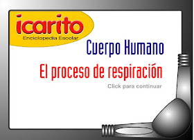 http://www.ceiploreto.es/sugerencias/animaciones/ciencias/respiracion.swf