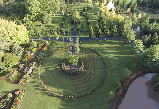 Tree church New Zealand