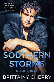 Livro Southern Storms - Brittainy C. Cherry