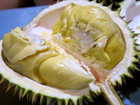 Gambar- Lagi Musim Durian