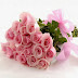 Roses pink