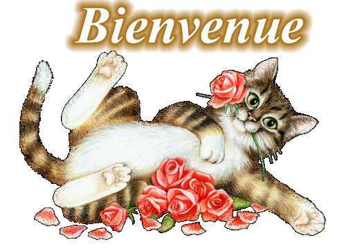 Q Tbn And9gcs5hheblmtrv4 Aom36jpv0e4k25ozoqzrcra Usqp Cau