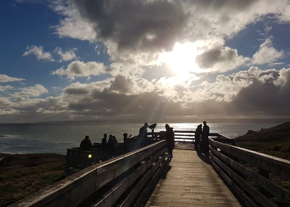Sunset at Nobbies Boardwalk, Phillip Island