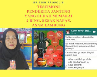 Khasiat British Propolis untuk kesehatan