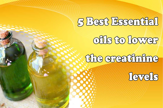 5 Best Oils To Lower High Creatinine