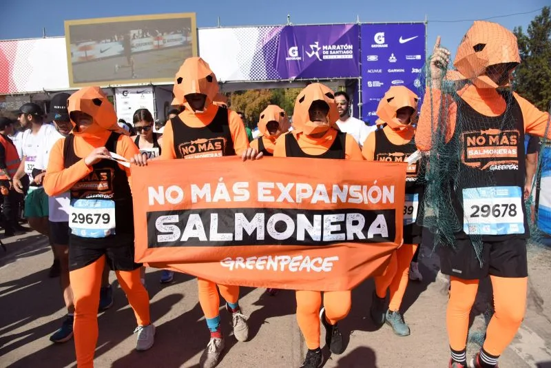 Activistas de Greenpeace corren en Maratón de Santiago simulando un escape de salmones