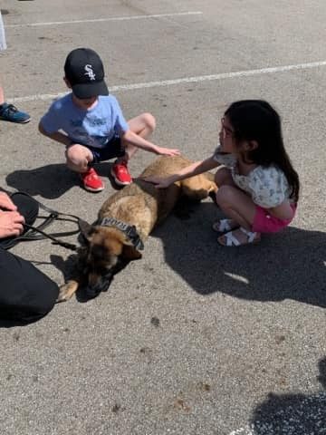 young boy and young girl petting a k9
