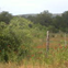 View album