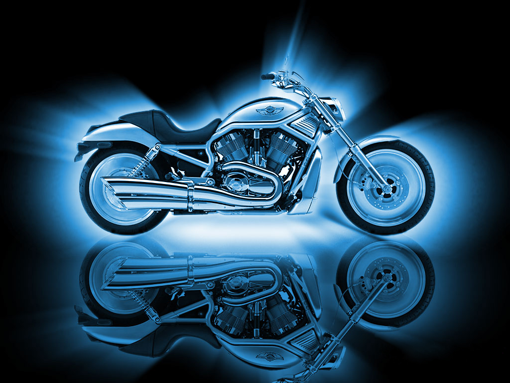 Download this Harley Davidson Night Rod picture