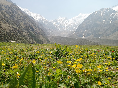 Valley of Flowers, Uttarakhand