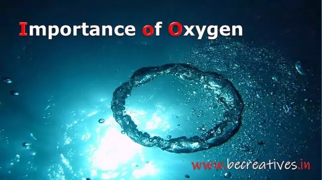 importance of oxygen,importance of oxygen to living things,importance of oxygen in the atmosphere,oxygen importance