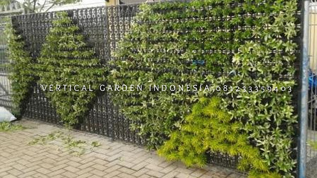 VERTICAL GARDEN INDONESIA SPESIALIS JASA PEMBUATAN VERTICAL GARDEN DI PEMALANG JAWA TENGAH DAN DI SELURUH WILAYAH JAWA TENGAH DENGAN TENAGA YANG PROFESIONAL DAN DAPAT DI PERCAYA YANG SELALU MENGUTAMAKAN SEBUAH MUTU DAN KUALITAS PEMASANGAN VERTICAL GARDEN/TAMAN DINDING, JASA TUKANG TAMAN VERTICAL PEMALANG JAWA TENGAH, JASA VERTICAL GARDEN PEMALANG JAWA TENGAH