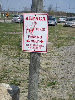 Alpaca lover parking.