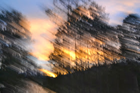 Sunset through the trees blurry