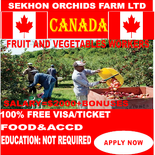 Fruit and vegetables picking jobs vacancies in Canada - Apply this job