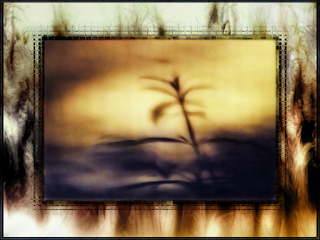 A Scarecrow's Dream (Visual Remix) (c) Copyright 2011 Christopher V. DeRobertis. All rights reserved. insilentpassage.com