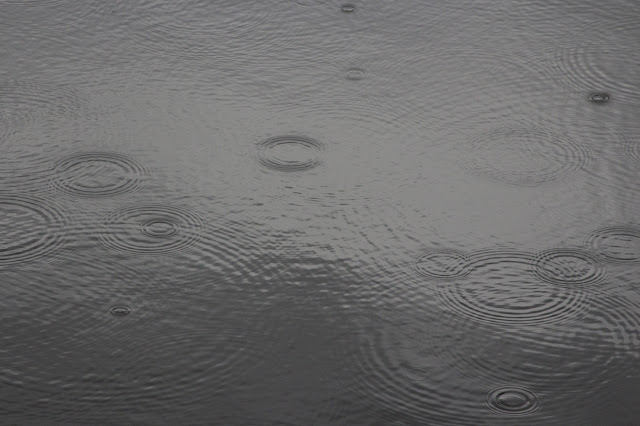 circles of raindrops in water