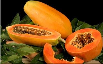 Papaya Fruit