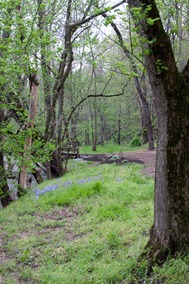 1104_StraitzReh_418