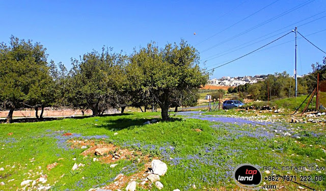 Land for sale in Dabouq