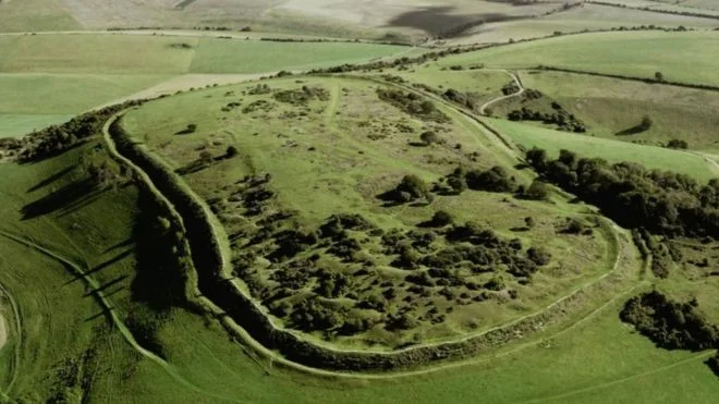 5,000-year-old hill fort 'damaged by metal detectors'