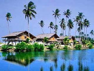  Laguna  Helau Natural of Indonesia