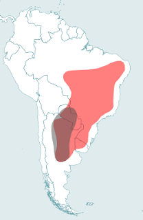 Cariamiformes dağılım haritası