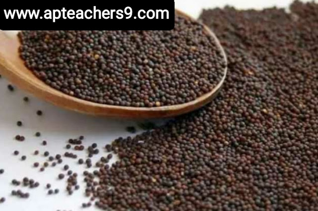 There are many health benefits with mustard: ఆవాలతో ఎన్నో ఆరోగ్య ప్రయోజనాలు 2022@APTeachers  17 benefits of mustard seed 5 uses of mustard 10 uses of mustard how much mustard should i eat a day benefits of chewing mustard seed mustard seeds side effects dijon mustard health benefits benefits of yellow mustard how much black pepper per day for weight loss how to use black pepper for weight loss lemon and black pepper for weight loss does black pepper help in weight loss cinnamon and black pepper for weight loss curd with black pepper for weight loss how to make black pepper tea for weight loss black pepper weight gain precautions to be taken during winter season how to stay healthy during winter season precautions for winter season in india how to protect your body in winter season winter safety tips for employees safety tips for winter season winter health problems health tips for winter 2021 pumpkin benefits side effects green pumpkin benefits pumpkin seeds benefits for female is pumpkin good for digestion pumpkin benefits for skin is pumpkin good for weight loss how to eat pumpkin benefits of pumpkin soup green peas benefits green peas side effects yellow matar benefits dry matar benefits white matar benefits green peas protein green peas contains benefits of matar in hindi list foods to avoid kidney stones how to dissolve kidney stones list of foods that cause kidney stones how to avoid kidney stones kidney stone diet chart supplements to prevent kidney stones vegetables to avoid for kidney stones what causes kidney stones best time to drink fruit juice in a day best time to drink juice for weight loss best time to drink mosambi juice when is the best time to juice morning or night best time to drink juice for glowing skin best time to drink juice for weight gain best time to drink orange juice in a day what is the best time to drink vegetable juice why does my bottom lip split in the middle dry lips vitamin deficiency cracked lips causes can chapped lips be a sign of something serious chapped lips meaning dry cracked lips that won't heal why are my lips so dry even when i drink water how to cure chapped lips fast winter foods list vegetables to eat in winter in india top 10 winter foods what to eat in winter to keep warm best food to eat in winter in india fruits to avoid in winter avoid food in winter season what we eat and drink in winter season how to protect child from cold weather how to keep your family healthy during winter 5 ways to stay safe in the snow winter health tips for students what to do with baby on cold day safety tips for winter season winter safety tips 2021 wintercare for kids disadvantages of matka water earthen pot water side effects drinking water from clay pot benefits benefits of matka water benefits of matka water for skin how earthen pots help in purifying water how to clean clay pots for drinking water clay pot water ph level how to cure gerd permanently high stomach acid symptoms gerd foods to avoid what fruit is good for acid reflux foods that reduce stomach acid how to get rid of acid reflux in throat fast what to drink for acid reflux 7-day acid reflux diet pdf focal hyperhidrosis how to stop excessive sweating all over body naturally how to stop sweating on face how i cured my hyperhidrosis how to stop sweating underarms naturally how to stop underarm sweating permanently what is excessive sweating a sign of products to stop armpit sweating what comes out during a colon cleanse how to clean out bowels quickly 1 day colon cleanse overnight colon cleanse colon cleanse weight loss results best colon cleanse drink how often should you cleanse your colon colon cleanse pills is taking a bath late at night dangerous late night shower can cause death advantages and disadvantages of taking a bath at night benefits of showering at night vs morning taking a bath at night can cause anemia benefits of showering in the morning can taking a shower at night cause a stroke does taking a bath at night lowers blood pressure what foods help repair kidneys how can i improve my kidney function naturally how to keep kidneys healthy foods to avoid for kidney health healthy kidneys signs how to check your kidney health at home best exercise for kidney health can kidneys heal side effects of drinking cold water disadvantages of drinking cold water in the morning does drinking cold water increase weight effect of cold water on male is cold water bad for your kidneys drinking cold water in the morning on an empty stomach is drinking cold water bad for your heart effect of cold water on bones how to make fenugreek water fenugreek water for hair fenugreek seeds soaked in water overnight side effects how to drink fenugreek water fenugreek water for weight loss fenugreek water side effects fenugreek water for periods boiled fenugreek water benefits  hair loss treatment which vitamin deficiency causes hair loss hair loss causes best hair loss treatment female hair loss treatment reason of hair fall in female hair loss women hair fall reasons in male mediterranean diet recipes mediterranean diet food list mediterranean diet 7-day meal plan pdf mediterranean diet weight loss how to start mediterranean diet mediterranean diet breakfast mediterranean diet pdf mediterranean diet for men black rice benefits black rice in india black rice side effects black rice price black rice recipe black rice near me black rice calories black rice protein organ donation time limit after death organ donation registration organ donation registration india 3 reasons why organ donation is important organ donation india how to donate organs after death organ donation rules reasons why you shouldn't be an organ donor Keto diet plan free PDF 7-day keto meal plan pdf Keto diet plan Indian Women's keto diet plan free Keto food list Female keto diet plan PDF 30 day ketogenic diet plan pdf free Keto diet plan for beginners Epileptic seizure Epilepsy attack Epilepsy definition Can epilepsy be cured Types of epilepsy Epilepsy cause Types of epilepsy and symptoms Fits disease what is the most important vitamin for your body daily intake of vitamins and minerals chart types of vitamins and their functions what vitamins do i need daily what are vitamins what are the 13 types of vitamins essential vitamins and minerals what are essential vitamins how to use a cooler as a fridge can we use air cooler without water how to use air cooler with water how to use air cooler in closed room how to use air cooler effectively uses of air cooler air cooler hacks how to use air cooler with ice how long is water safe in plastic bottles? Side effects of drinking water in plastic bottles which plastic bottles are safe for drinking water? Harmful effects of plastic water bottles on humans How to avoid drinking water from plastic bottles Plastic bottle poisoning symptoms How many times can you reuse a plastic water bottle Why you should not reuse plastic water bottles benefits of squeezing lemon on food what happens when you drink lemon water for 7 days disadvantages of drinking lemon water daily side effects of lemon for female what are the benefits of drinking lemon water benefits of lemon lemon side effects lemon benefits and side effects coconut water benefits for female benefits of drinking coconut water daily coconut water side effects drinking coconut water for 7 days benefits of coconut water for skin what happens if i drink coconut water everyday benefits of drinking coconut water empty stomach Disadvantages of storing water in copper vessel How much copper water to drink per day Copper water bottle poisoning Copper water benefits for skin whitening Pros and cons of drinking copper water Benefits of copper water Copper water Bottle Benefits of copper water Ayurveda 10 reasons to wake up in the morning 10 benefits of early rising what is the best time to wake up early in the morning why should we wake up early in the morning benefits of waking up early in the morning essay benefits of waking up before sunrise disadvantages of waking up early scientific benefits of waking up early fermented rice side effects pazhankanji side effects is fermented rice water acidic or alkaline fermented rice for weight gain fermented rice benefits benefits of eating rice in the morning fermented rice with curd benefits fermented rice for acid reflux taati munjalu in english taati munjalu season ice apple benefits taati munjalu near me taati munjalu during pregnancy taati munjalu in hindi taati munjalu in telugu ice apple benefits and side effects how to lose weight in 7 days fastest way to lose weight for woman how to lose weight naturally how to lose weight fast weight loss tips extreme weight loss methods weight loss tips at home how to lose weight in a week skin care tips in summer at home summer night skin care routine top 10 skin care tips for summer summer skin care routine summer skin care routine for teenage girl skin care tips for summer in india summer skin care products how to take care of oily skin in summer naturally why do mosquitoes bite me and not my husband how to be less attractive to mosquitoes mosquitoes don't bite cancer why do mosquitoes like type o blood why do i get so many mosquito bites on my legs are mosquitoes attracted to carbon dioxide why are mosquitoes attracted to me why do mosquitoes bite ankles pumpkin benefits side effects benefits of pumpkin soup is pumpkin good for digestion pumpkin benefits for skin benefits of green pumpkin is pumpkin good for weight loss pumpkin seeds benefits for female how to eat pumpkin benefits of sugarcane sexually sugarcane juice benefits for female sugarcane juice benefits and disadvantages benefits of sugarcane juice sugarcane juice is heat or cold for body benefits of sugarcane to woman sugarcane juice disadvantages benefits of sugarcane juice for weight loss side effects of tea on bones is green tea harmful for bones what kind of tea is good for osteoporosis is black tea good for bones tea and calcium absorption tea and osteoporosis is ginger tea good for osteoporosis green tea and calcium absorption spiritual benefits of walking barefoot 5 health benefits of walking barefoot benefits of walking barefoot on earth disadvantages of walking barefoot benefits of walking barefoot at home walking barefoot meaning benefits of walking barefoot on grass in the morning effects of walking barefoot on cold floor why hot food items should not be packed in polythene bags effects of eating high temperature food hot food in polythene bags 2 ways to never cool food hot food in plastic bags can cause cancer what happens if you drink hot and cold at the same time proper cooling methods for food what are three safe methods for cooling food? benefits of eating porridge everyday porridge benefits for skin benefits of eating porridge in the morning i ate oatmeal every morning for a month-here's what happened disadvantages of eating oats benefits of porridge for weight loss benefits of oats with milk benefits of eating porridge at night is taking a bath late at night dangerous bathing at night benefits taking a bath at night can cause anemia late night shower can cause death best time to bath at night advantages and disadvantages of taking a bath at night benefits of warm bath at night taking a bath at night is not good for your health brainly describe how we can keep ourselves fit and healthy simple health tips 10 tips for good health 100 health tips natural health tips health tips for adults health tips 2021 health tips of the day simple health tips for everyday living healthy tips simple health tips for students 100 simple health tips healthy lifestyle tips health tip of the week simple health tips for everyone simple health tips for everyday living 10 tips for a healthy lifestyle pdf 20 ways to stay healthy 5-minute health tips 100 health tips in hindi simple health tips for everyone 100 health tips pdf 100 health tips in tamil 5 tips to improve health natural health tips for weight loss natural health tips in hindi simple health tips for everyday living 100 health tips in hindi health in hindi daily health tips 10 tips for good health how to keep healthy body 20 health tips for 2021 health tips 2022 mental health tips 2021 heart health tips 2021 health and wellness tips 2021 health tips of the day for students fun health tips of the day mental health tips of the day healthy lifestyle tips for students health tips for women simple health tips 10 tips for good health 100 health tips healthy tips in hindi natural health tips health tips for students simple health tips for everyday living health tip of the week healthy tips for school students health tips for primary school students health tips for students pdf daily health tips for school students health tips for students during online classes mental health tips for students simple health tips for everyone health tips for covid-19 healthy lifestyle tips for students 10 tips for a healthy lifestyle healthy lifestyle facts healthy tips 10 tips for good health simple health tips health tips 2021 health tips natural health tips 100 health tips health tips for students simple health tips for everyday living 6 basic rules for good health 10 ways to keep your body healthy health tips for students simple health tips for everyone 5 steps to a healthy lifestyle maintaining a healthy lifestyle healthy lifestyle guidelines includes simple health tips for everyday living healthy lifestyle tips for students healthy lifestyle examples 10 ways to stay healthy 100 health tips 5 ways to stay healthy 10 ways to stay healthy and fit simple health tips simple health tips for everyday living health tips for students health tips in hindi beauty tips health tips for women health tips bangla health tips for young ladies 10 best health tips female reproductive health tips women's day health tips health tips in kannada women's health tips for heart, mind and body women's health tips for losing weight healthy woman body beauty tips at home beauty tips natural beauty tips for face beauty tips for girls beauty tips for skin beauty tips of the day top 10 beauty tips beauty tips hindi health tips for school students health tips for students during exams five ways of maintaining good health 10 ways to stay healthy at home ways to keep fit and healthy 6 tips to stay fit and healthy how to stay fit and healthy at home 20 ways to stay healthy ways to keep fit and healthy essay 5 ways to stay healthy essay 10 ways to stay healthy at home write five points to keep yourself healthy 5 ways to stay healthy during quarantine 10 tips for a healthy lifestyle healthy lifestyle essay unhealthy lifestyle examples 5 steps to a healthy lifestyle healthy lifestyle article for students talk about healthy lifestyle healthy lifestyle benefits healthy lifestyle for students in school healthy tips for school students importance of healthy lifestyle for students health tips for students during online classes health tips for students pdf health and wellness for students healthy lifestyle for students essay healthy lifestyle article for students 10 ways to stay healthy and fit ways to keep fit and healthy essay 6 tips to stay fit and healthy how to stay fit and healthy at home what are the best ways for students to stay fit and healthy how to keep body fit and strong on the basis of the picture given below,  how to be fit in 1 week write 10 rules for good health golden rules for good health health rules most important things you can do for your health how to keep your body healthy and strong five ways of maintaining good health mental health tips 2022 top 10 tips to maintain your mental health mental health tips for students self-care tips for mental health mental health 2022 fun activities to improve mental health 10 ways to prevent mental illness how to be mentally healthy and happy world heart day theme 2021 world heart day 2021 health tips news world heart day wikipedia world heart day 2020 world heart day pictures world heart day theme 2020 happy heart day 5 ways to prevent covid-19 best food for covid-19 recovery 10 ways to prevent covid-19 covid-19 health and safety protocols precautions to be taken for covid-19 covid-19 diet plan pdf safety measures after covid-19 precautions for covid-19 patient at home how to keep reproductive system healthy 10 ways in keeping the reproductive organs clean and healthy why is it important to keep your reproductive system healthy how to take care of your reproductive system male what are the proper ways of taking care of the female reproductive organs male ways of taking care of reproductive system ppt taking care of reproductive system grade 5 prevention of reproductive system diseases proper ways of taking care of the reproductive organs ways of taking care of reproductive system ppt how to take care of reproductive system male what are the proper ways of taking care of the female reproductive organs care of male and female reproductive organs? why is it important to take care of the reproductive organs the following are health habits to keep the reproductive organs healthy which one is care of male and female reproductive organs? what are the proper ways of taking care of the female reproductive organs ways of taking care of reproductive system ppt ways to take care of your reproductive system why is it important to take care of the reproductive organs taking care of reproductive system grade 5 how to take care of your reproductive system poster what are the proper ways of taking care of the female reproductive organs taking care of reproductive system grade 5 what are the proper ways of taking care of the male reproductive organs care of male and female reproductive organs? female reproductive system - ppt presentation female reproductive system ppt pdf reproductive system ppt anatomy and physiology reproductive system ppt grade 5 talk about healthy lifestyle cue card importance of healthy lifestyle importance of healthy lifestyle speech what is healthy lifestyle essay healthy lifestyle habits my healthy lifestyle healthy lifestyle essay 100 words healthy lifestyle short essay healthy lifestyle essay 150 words healthy lifestyle essay pdf benefits of a healthy lifestyle essay healthy lifestyle essay 500 words healthy lifestyle essay 250 words  precautions to be taken during winter season precautions to be taken for cold cold weather precautions for home how to stay healthy during winter season how to protect your body in winter season what things should we keep in mind to stay healthy in the winter  safety tips for winter season in india how to take care of yourself during winter seasonal diseases list seasonal diseases in india seasonal diseases and precautions seasonal diseases in telugu seasonal diseases in india pdf seasonal diseases pdf 4 seasonal diseases rainy season diseases and prevention 10 things not to do after eating i ate too much and now i want to vomit how to ease your stomach after eating too much how to digest faster after a heavy meal what to do after overeating at night how to detox after eating too much i ate too much today will i gain weight i don't feel good after i eat calcium fruits for bones fruits for bone strength how to increase bone strength naturally bone strengthening foods how to increase bone calcium best fruit juice for bones calcium-rich foods for bones vitamins for strong bones and joints black pepper uses and benefits how much black pepper per day benefits of eating black pepper empty stomach black pepper with hot water benefits side effects of black pepper benefits of black pepper and honey pepper benefits turmeric with black pepper benefits how to protect eyes from mobile screen naturally how to protect eyes from mobile screen during online classes glasses to protect eyes from mobile screen how to protect eyes from mobile and computer 5 ways to protect your eyes best eye protection mobile phone glasses to protect eyes from mobile screen flipkart how to protect eyes from computer screen can you die from eating too many almonds how many is too many almonds i eat 100 almonds a day symptoms of eating too many almonds almond skin dangers how many almonds should i eat a day why are roasted almonds bad for you how many almonds to eat per day for good skin amla for skin whitening amla for skin pigmentation how to use amla for skin can i apply amla juice on face overnight how to use amla powder for skin whitening amla face pack for pigmentation how to make amla juice for skin best amla juice for skin best n95 mask for covid n95 mask with filter n95 mask reusable best mask for covid where to buy n95 mask n95 mask price 3m n95 mask kn95 vs n95 how many dates to eat per day dates benefits sexually dates benefits for sperm benefits of dates for men benefits of khajoor for skin dates benefits for skin is dates good for cold and cough benefits of dates for womens how to cook mulberry leaves mulberry benefits mulberry leaves benefits for hair mulberry benefits for skin when to harvest mulberry leaves mulberry leaf extract benefits mulberry leaf tea benefits mulberry fruit side effects are recovered persons with persistent positive test of covid-19 infectious to others? if someone in your house has covid will you get it do i still need to quarantine for 14 days if i was around someone who has covid-19? how long will you test positive for covid after recovery what do i do if i’ve been exposed to someone who tested positive for covid-19? how long does coronavirus last in your system how long should i stay in home isolation if i have the coronavirus disease? positive covid test after recovery how to make coriander water can we drink coriander water at night how to make coriander water for weight loss coriander seed water side effects how to make coriander seeds water how to make coriander seeds water for thyroid coriander water for thyroid coriander leaves boiled water benefits 10 points on harmful effects of plastic 5 harmful effects of plastic harmful effects of plastic on environment harmful effects of plastic on environment in points how is plastic harmful to humans harmful effects of plastic on environment pdf single-use plastic effects on environment brinjal benefits and side effects disadvantages of brinjal brinjal benefits for skin brinjal benefits ayurveda brinjal benefits for diabetes uses of brinjal green brinjal benefits brinjal vitamins 10 ways to keep your heart healthy 5 ways to keep your heart healthy 13 rules for a healthy heart 20 ways to keep your heart healthy how to keep heart-healthy and strong heart-healthy foods heart-healthy lifestyle healthy heart symptoms daily massage with mustard oil mustard oil disadvantages benefits of mustard oil for skin why mustard oil is not banned in india benefits of mustard oil massage on feet benefits of mustard oil in cooking mustard oil massage benefits mustard oil benefits for brain side effects of mint leaves lungs cleaning treatment benefits of drinking mint water in morning mint leaves steam for face lungs cleaning treatment for smokers benefits of mint leaves how to use ginger for lungs how to clean lungs in 3 days Carrot juice benefits in telugu 17 benefits of mustard seed 5 uses of mustard 10 uses of mustard how much mustard should i eat a day mustard seeds side effects benefits of chewing mustard seed dijon mustard health benefits is mustard good for your stomach Benefits of Vaseline on face Vaseline on face overnight before and after Vaseline petroleum jelly for skin whitening 100 uses for Vaseline Does Blue Seal Vaseline lighten the skin Vaseline uses for skin 19 unusual uses for Vaseline Effect of petroleum jelly on lips barley pests and diseases how to use barley for diabetes diseases of barley ppt how to use barley powder barley benefits and side effects barley disease control barley diseases integrated pest management of barley how to sleep better at night naturally good sleep habits food for good sleep tips on how to sleep through the night how to get a good night sleep and wake up refreshed how to sleep fast in 5 minutes how to sleep through the night without waking up how to sleep peacefully without thinking how to use turmeric to boost immune system turmeric immune booster recipe turmeric immune booster shot raw turmeric vs powder 10 serious side effects of turmeric raw turmeric powder best time to eat raw turmeric raw turmeric benefits for liver best antibiotic for cough and cold name of antibiotics for cough and cold best medicine for cold and cough best antibiotic for cold and cough for child best tablet for cough and cold in india best cold medicine for runny nose cold and cough medicine for adults best cold and flu medicine for adults moringa leaf powder benefits what happens when you drink moringa everyday? side effects of moringa list of 300 diseases moringa cures pdf how to use moringa leaves what sickness can moringa cure how long does it take for moringa to start working can moringa cure chest pain how to use aloe vera to lose weight rubbing aloe vera on stomach how to prepare aloe vera juice for weight loss best time to drink aloe vera juice for weight loss how to use forever aloe vera gel for weight loss aloe vera juice weight loss stories how much aloe vera juice to drink daily for weight loss benefits of eating oranges everyday benefits of eating oranges for skin benefits of eating orange at night orange benefits and side effects benefits of eating orange in empty stomach orange benefits for men how many oranges a day to lose weight how many oranges should i eat a day is orthostatic hypotension dangerous orthostatic hypotension symptoms causes of orthostatic hypotension orthostatic hypotension in 20s orthostatic hypotension treatment orthostatic hypotension test how to prevent orthostatic hypotension orthostatic hypotension treatment in elderly what will happen if we drink dirty water for class 1 what are the diseases associated with water? which water is safe for drinking dangers of tap water 5 dangers of drinking bad water what happens if you drink contaminated water what to do if you drink contaminated water 5 ways to make water safe for drinking how long before bed should you turn off electronics side effects of using phone at night does screen time affect sleep in adults sleeping with phone near head why you shouldn't use your phone before bed screen time before bed research adults screen time doesn't affect sleep using phone at night bad for eyes how many tulsi leaves should be eaten in a day how to cure high blood pressure in 3 minutes tulsi leaves side effects tricks to lower blood pressure instantly what happens if we eat tulsi leaves daily high blood pressure foods to avoid what to drink to lower blood pressure quickly how to consume tulsi leaves why am i sleeping too much all of a sudden i sleep 12 hours a day what is wrong with me oversleeping symptoms causes of oversleeping how to recover from sleeping too much oversleeping effects is 9 hours of sleep too much why am i suddenly sleeping for 10 hours side effects of eating raw curry leaves how many curry leaves to eat per day benefits of curry leaves for hair curry leaves health benefits benefits of curry leaves boiled water curry leaves benefits and side effects how to eat curry leaves curry leaves benefits for uterus side effects of drinking cold water symptoms of drinking too much water does drinking cold water cause cold drinking cold water in the morning on an empty stomach does drinking cold water increase weight disadvantages of drinking cold water in the morning is drinking cold water bad for your heart effect of cold water on bones food for strong bones and muscles indian food for strong bones and muscles list five foods you can eat to build strong, healthy bones. medicine for strong bones and joints 2 factors that keep bones healthy Top 10 health benefits of dates Health benefits of dates Dry dates benefits for male Soaked dates benefits Dry dates benefits for female silver water benefits how much colloidal silver to purify water silver in water purification silver in drinking water health benefit of drinking hard water what is silver water silver ion water purifier colloidal silver poisoning how i cured my lower back pain at home how to relieve back pain fast how to cure back pain fast at home back pain home remedies drink how to cure upper back pain fast at home female lower back pain treatment what is the best medicine for lower back pain? one stretch to relieve back pain side effects of drinking salt water why is drinking salt water harmful benefits of drinking warm water with salt in the morning benefits of drinking salt water salt water flush didn't make me poop himalayan salt detox side effects when to eat after salt water flush 10 uses of salt water side effects of carbonated drinks harmful effects of soft drinks wikipedia disadvantages of soft drinks in points drinking too much pepsi symptoms drinking too much coke side effects effects of carbonated drinks on the body side effects of drinking coca-cola everyday harmful effects of soft drinks on human body pdf what happens if you don't breastfeed your baby baby feeding mother milk breastfeeding mother 14 risks of formula feeding is bottle feeding safe for newborn baby negative effects of formula feeding are formula-fed babies healthy breastfeeding vs bottle feeding breast milk what is the best cream for deep wrinkles around the mouth best anti aging cream 2021 scientifically proven anti aging products best anti aging cream for 40s what is the best wrinkle cream on the market? best anti aging cream for 30s best treatment for wrinkles on face best anti aging skin care products for 50s carbonated soft drinks market demand for soft drinks trends in carbonated soft drink industry carbonated soft drink market in india cold drink sales statistics soft drink sales 2021 soda industry market share of soft drinks in india 2021 how much tomato to eat per day 10 benefits of tomato eating tomato everyday benefits benefits of eating raw tomatoes in the morning disadvantages of eating tomatoes why are tomatoes bad for your gut eating tomato everyday for skin disadvantages of eating raw tomatoes green peas benefits for skin green peas benefits for weight loss green peas side effects green peas benefits for hair benefits of peas and carrots green peas calories green peas protein per 100g dry peas benefits benefits of walnuts for females benefits of walnuts for skin benefits of walnuts for male 15 proven health benefits of walnuts benefits of almonds how many walnuts to eat per day walnut benefits for sperm soaked walnuts benefits 5 health benefits of walking barefoot spiritual benefits of walking barefoot dangers of walking barefoot benefits of walking barefoot at home disadvantages of walking barefoot is walking barefoot at home bad benefits of walking barefoot on grass in the morning walking barefoot meaning how to cure asthma forever how to prevent asthma how to prevent asthma attacks at night asthma prevention diet what causes asthma how to stop asthmatic cough what is the best treatment for asthma how to avoid asthma triggers at home amaranth leaves side effects thotakura juice benefits thotakura benefits in telugu amaranth benefits amaranth benefits for skin amaranth benefits for hair red amaranth leaves side effects amaranth leaves iron content skin diseases list with pictures 5 ways of preventing skin diseases 10 skin diseases blood test for hair loss female symptoms of skin diseases common skin diseases hair loss after covid treatment and vitamins what do dermatologists prescribe for hair loss pomegranate benefits for female benefits of pomegranate for skin benefits of pomegranate seeds pomegranate benefits for men benefits of pomegranate juice how much pomegranate juice per day pomegranate juice side effects benefits of pomegranate leaves disadvantages of jaggery 33 health benefits of jaggery how much jaggery to eat everyday benefits of jaggery water vitamins in jaggery dark brown jaggery benefits jaggery benefits for sperm jaggery benefits for male                                                                                                                                                                                                mini oil mill project cost cooking oil manufacturing plant cost in india small oil mill plant cost in india oil mill project cost in india cooking oil manufacturing business plan pdf oil mill business profit how to start cooking oil business in india oil mill business plan in india