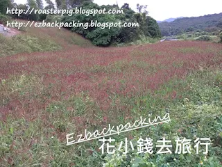 南涌生態遊+ 南涌濕地