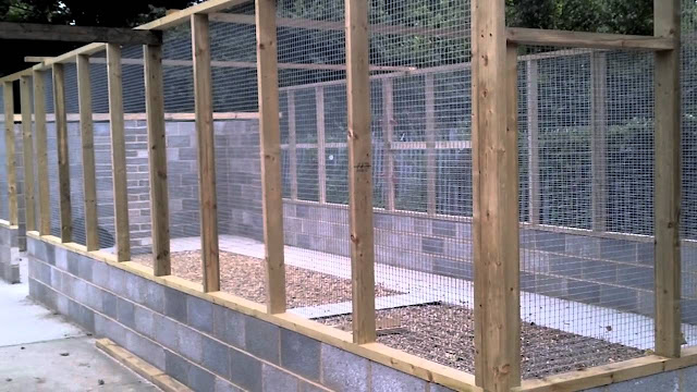 Outdoor Bird Enclosures