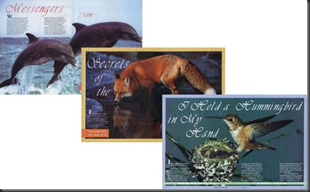 creation illustrated picture 3