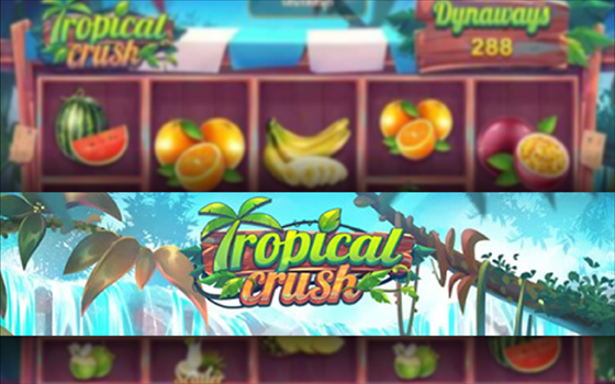 Slotxo Tropical crush