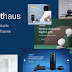 Smarthaus Smarthome Products WooCommerce Theme Review 
