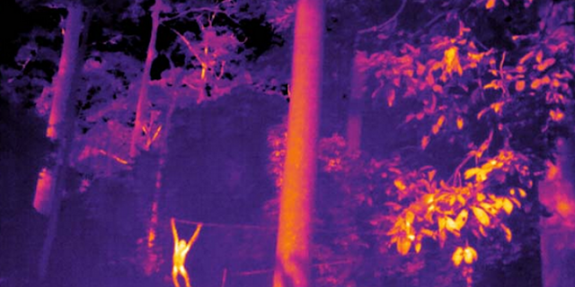 Thermal Camera Image Only For Representation
