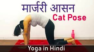 7.कैट पोज (मारजारासन), Best 10 yoga for stress in hindi, what is stress, yoga for stress, yoga for stress relief in hindi, yoga for stress relief for beginners, yoga for stress and depression,yoga for stress and anxiety