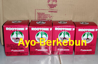 jual root one f
