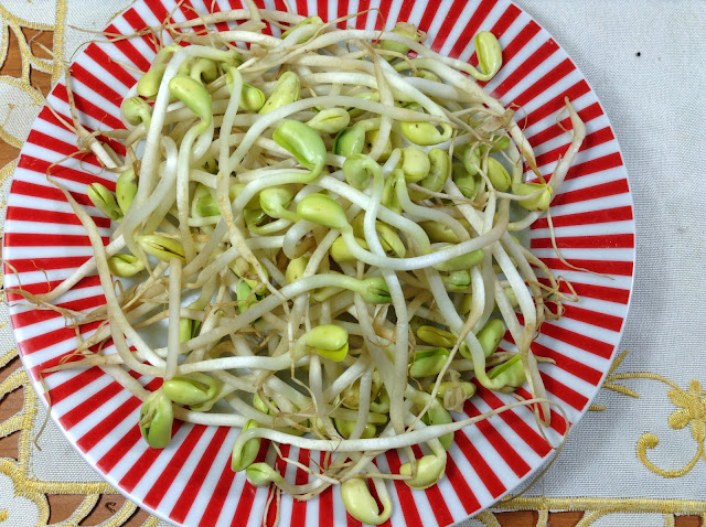 Soy Bean Sprouts Stir-fry