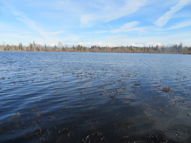 Tennant Lake Boardwalk Trail, 