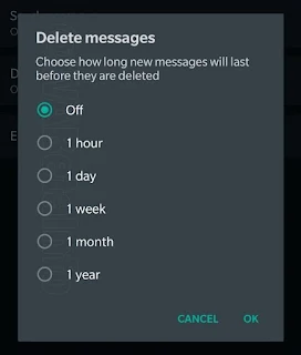 WhatsApp Self Destruct Delete message