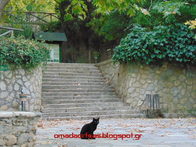 ΗΡΙΔΑΝΟΣ, ΡΕΜΑ ΚΑΙΣΑΡΙΑΝΗΣ, ΥΜΗΤΤΟΣ