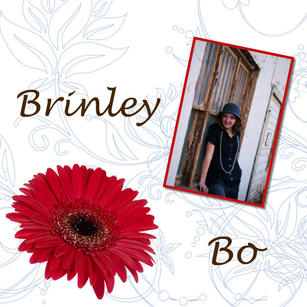 ~BrInLeY bO~