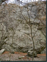 DSCN8395